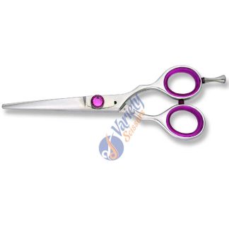 Professional Stylist Scissors